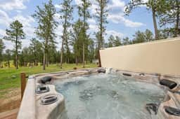 Custer Love Shack - Image 2