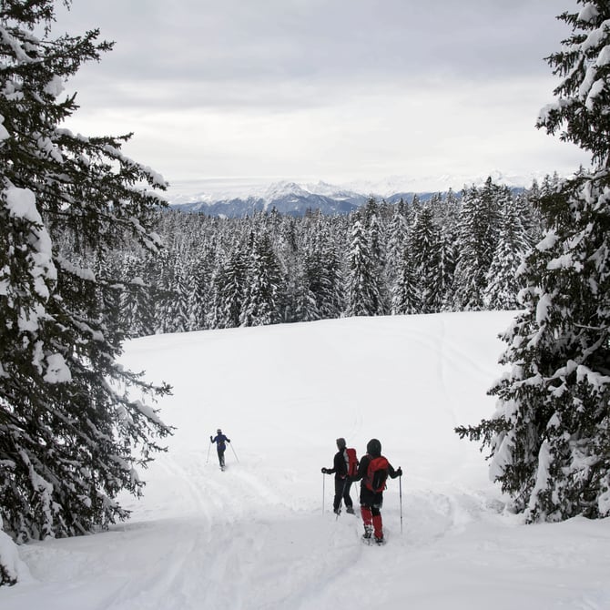 The Ultimate Guide to Winter in the Black Hills